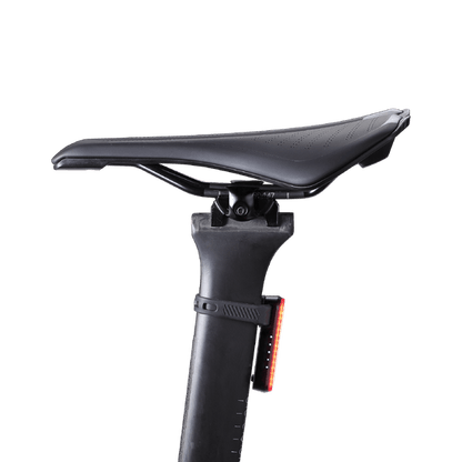 Luce Posteriore BBB SIGNAL 80
