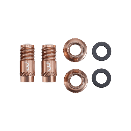 Punte della valvola BBB CORE CAP Bronzo (x2)