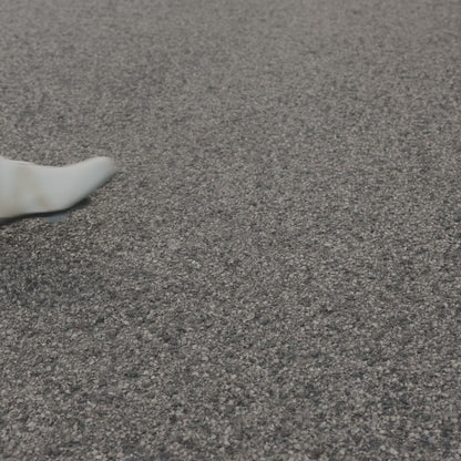 Scarpe Strada SIDI ERGO 6 Nero