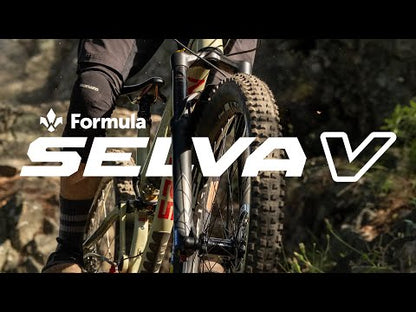 Forcella FORMULA SELVA V 29" Asse 15x110mm Boost Nero