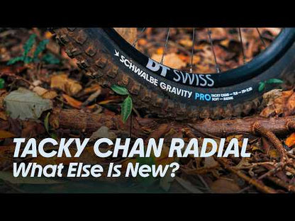 Pneumatico SCHWALBE TACKY CHAN TRAIL PRO SOFT RADIAL 29x2.50 Tubeless Ready Morbido Nero