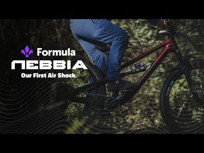 Ammortizzatore FORMULA NEBBIA Air Trunnion
