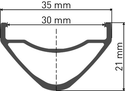 Coppia di Ruote DT SWISS EX 1700 SPLINE 30 mm 29" 15x110/12x148 mm Boost
