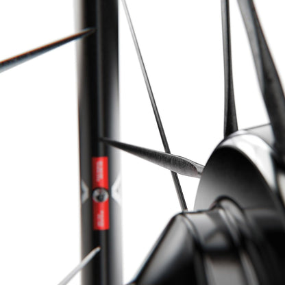 Coppia di Ruote DT SWISS ARC 1100 DICUT WTS 55 Tubeless Ready (Center Lock)