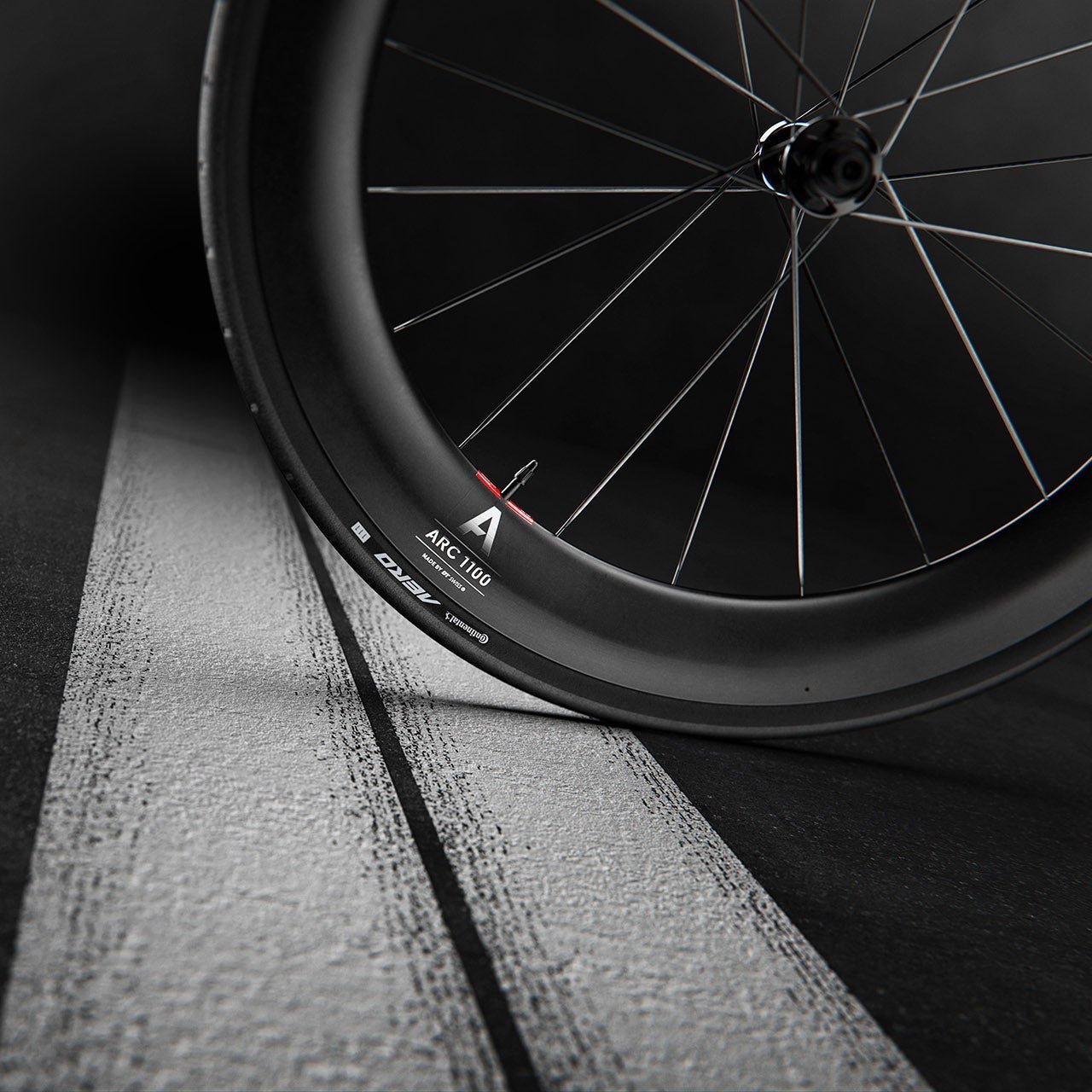 Coppia di ruote DT SWISS ARC 1100 DICUT WTS 55 Tubeless Ready (Center Lock)