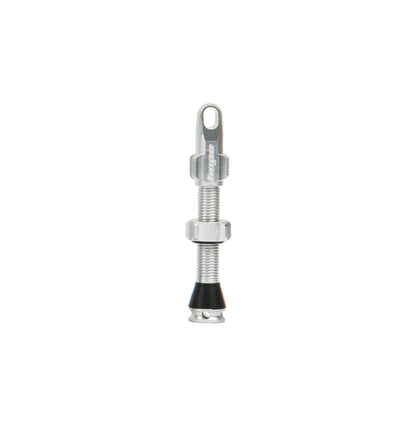 Valvola Tubeless HOPE 60mm smonta-obus Argento